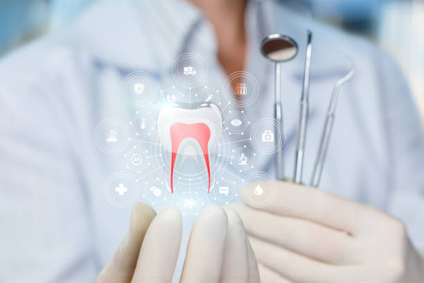 Trusted Alderton, WA Holistic Dental Care Services Experts